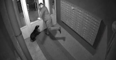 Избил за недержание и выгнал на улицу: в Саранске зоозащитники забрали больного пса у хозяина-живодёра