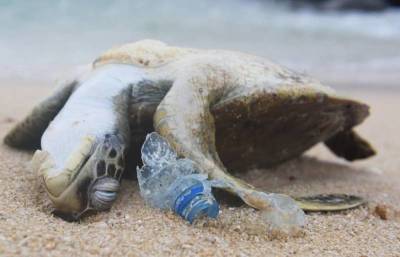 Ученые «взвесили» пластик в мировом океане и ужаснулись полученному результату