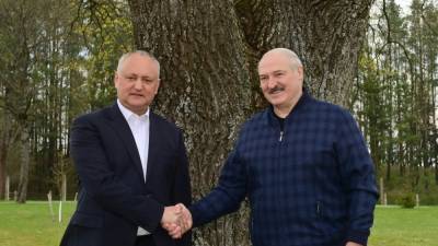 Тоже поддерживает страусов: Лукашенко показал Додону "любимый дворец"