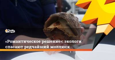 «Романтическое решение»: экологи спасают редчайший моллюск