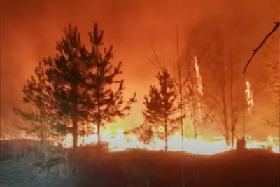 Около Нижне-Сысертского водохранилища разгорелся лесной пожар