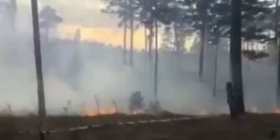 18-летний россиянин в Иркутсткой области сжег 20 гектаров травы в лесу, его отказывались подвозить - видео - ТЕЛЕГРАФ