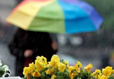 Прогноз погоды на 6 мая: в Украину снова идут дожди
