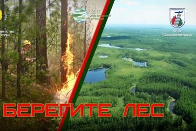 На 5 мая ликвидировано 15 лесных пожаров в Свердловской области