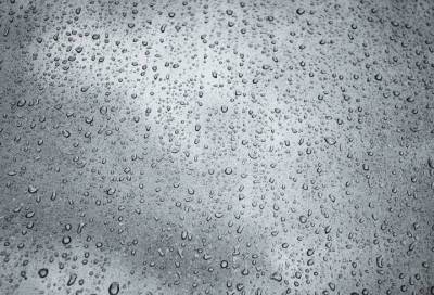 Циклонический вихрь «Фюрхтеготт» принесет в Петербург дожди