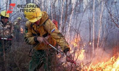 Площадь лесных пожаров на Среднем Урале за сутки выросла вдвое