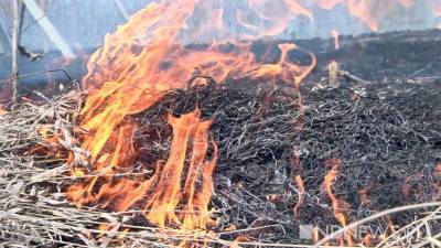 Лесные пожары в Свердловской области прошли 371 га