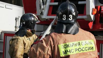 Женщина и двое детей погибли при пожаре в Саратовской области