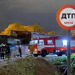 В Киеве произошел пожар в приюте для животных. Фото