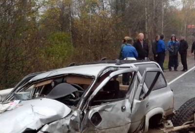 После смертельной аварии в Лужском районе задержан водитель Cadillac