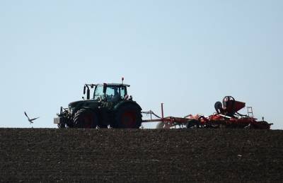 Аграрии Донецкой области перевыполнили план по ранним зерновым