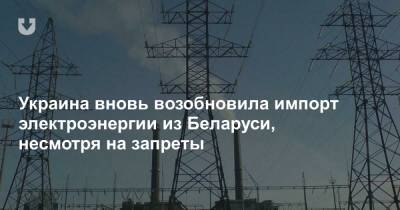 Украина вновь возобновила импорт электроэнергии из Беларуси, несмотря на запреты