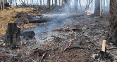 Огнеборцы потушили лесной пожар в Ильменском заповеднике на Урале