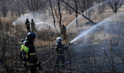 "Ситуация серьезная": в Свердловской области пожар приблизился вплотную к городу