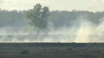 В Челябинской области ликвидирован пожар в Ильменском заповеднике