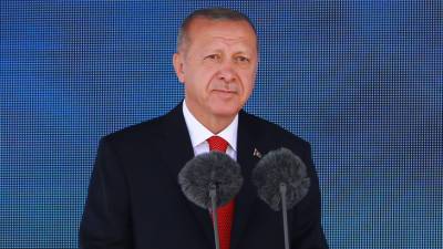 Эрдоган подписал указ о борьбе с иглобрюхом