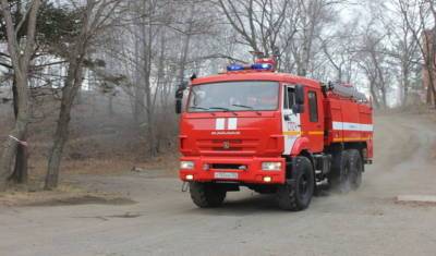 За минувшие сутки в Тюменской области произошло 88 лесных и ландшафтных пожаров