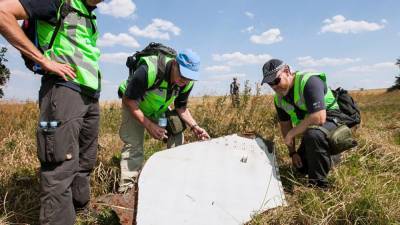 Голландский полицейский раскритиковал расследование по MH17