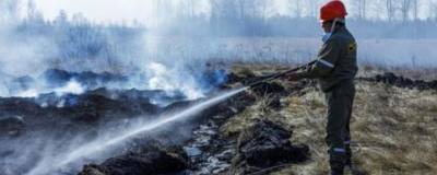 В районе поселка Сыростан разгорелся крупный лесной пожар