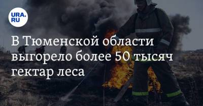 В Тюменской области выгорело более 50 тысяч гектар леса