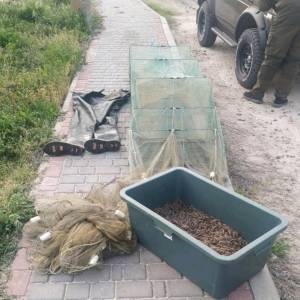 В Запорожской области у браконьера изъяли 15 кг креветки. Фото
