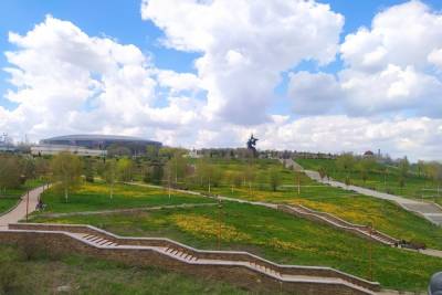 В Донецке убирают одуванчиковые поля возле «Донбасс Арены»