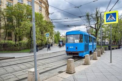 В Москве трамваи трех маршрутов задерживаются на Яузском бульваре из-за наклонившегося дерева