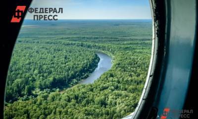 В Новосибирской области отправятся искать рухнувший в войну бомбардировщик
