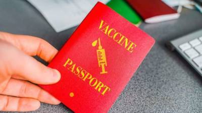 «Паспорта вакцинации» разблокируют украинцам въезд в Евросоюз - Кабмин