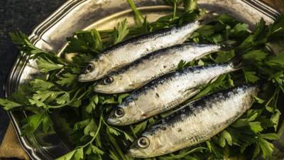 Лорен Манакер - Диетолог назвал самую полезную и дешевую рыбу - nation-news.ru