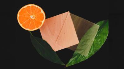Апельсиновая кожура помогла учёным сделать древесину прозрачной