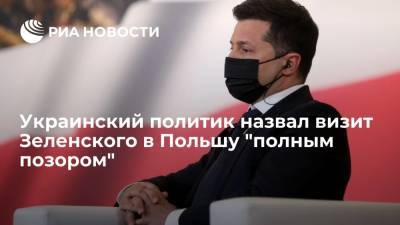 Украинский политик назвал визит Зеленского в Польшу "полным позором"