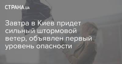 Завтра в Киев придет сильный штормовой ветер, объявлен первый уровень опасности