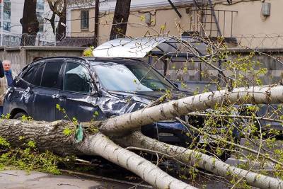 Более 40 автомобилей повреждены из-за ураганного ветра в Москве
