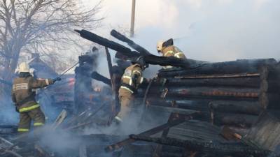 Огонь уничтожил 25 построек в омском селе Каракуль