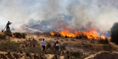«Огненные шары» вызвали шесть пожаров у границы с Газой