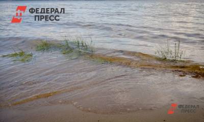 Аэропорт Пулково оштрафовали за сброс сточных вод