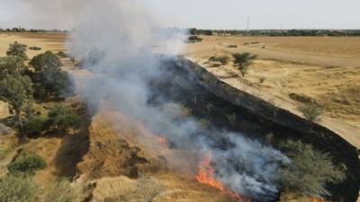 Огненный террор вернулся: 7 пожаров у границы с Газой за 1 день