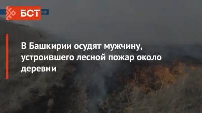 В Башкирии осудят мужчину, устроившего лесной пожар около деревни