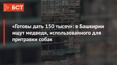 «Готовы дать 150 тысяч»: в Башкирии ищут медведя, использованного для притравки собак