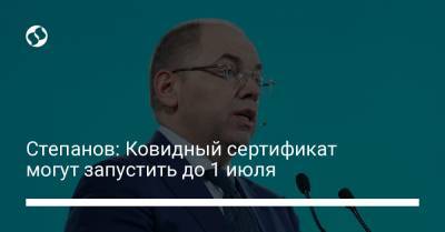 Степанов: Ковидный сертификат могут запустить до 1 июля