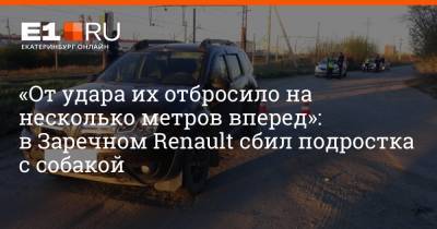 «От удара их отбросило на несколько метров вперед»: в Заречном Renault сбил подростка с собакой