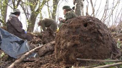 Под Волгоградом взорвался военный снаряд: погибли два поисковика