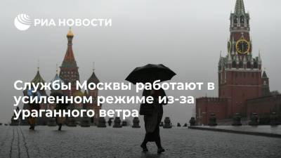 Cлужбы Москвы работают в усиленном режиме из-за ураганного ветра