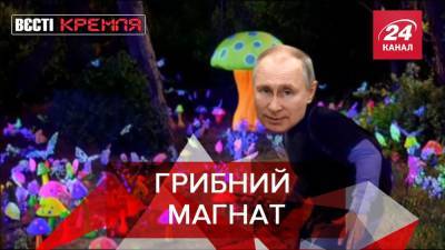 Вести Кремля: В России ужесточили правила сбора грибов