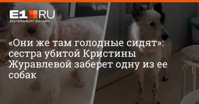 «Они же там голодные сидят»: сестра убитой Кристины Журавлевой заберет одну из ее собак