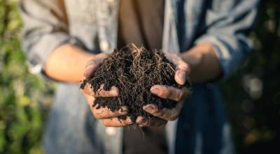 Как улучшить глинистую почву, чтобы все росло как на черноземе: 5 идеальных разрыхлителей