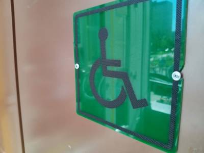 Член Общественной палаты Петербурга Дягилев: Ухудшилась защита прав людей с инвалидностью
