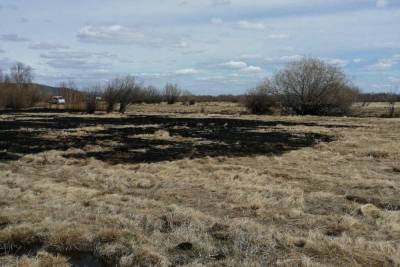 В Бурятии за один день 8 раз горела сухая трава