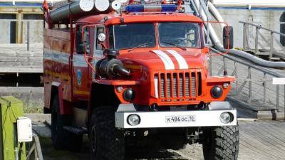 Омские спасатели потушили уничтоживший 25 домов пожар в деревне